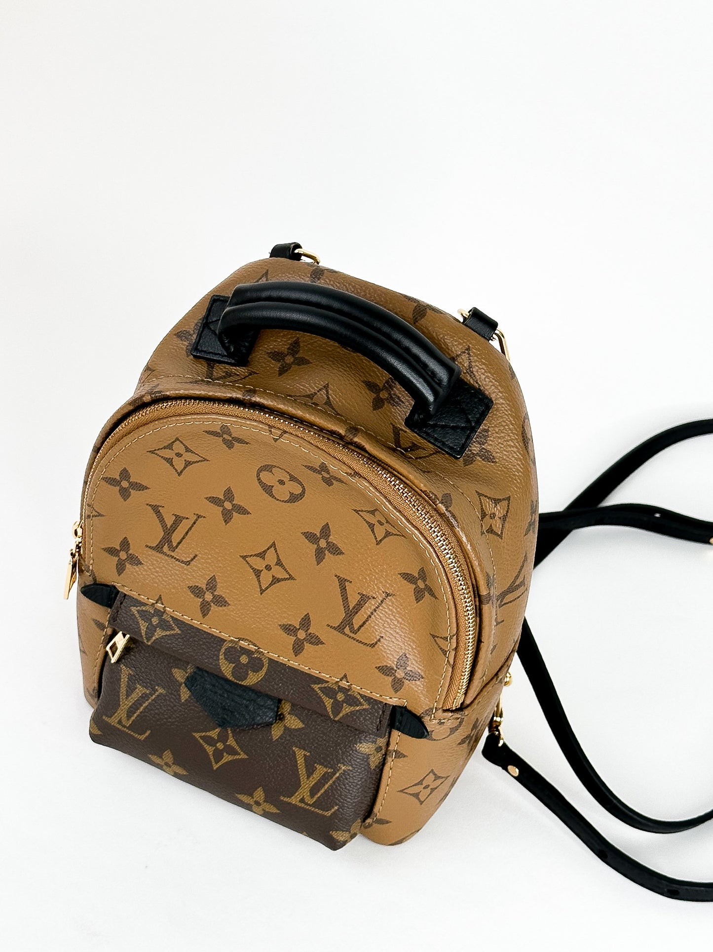 Louis Vuitton Palm Springs Mini Reverse Monogram