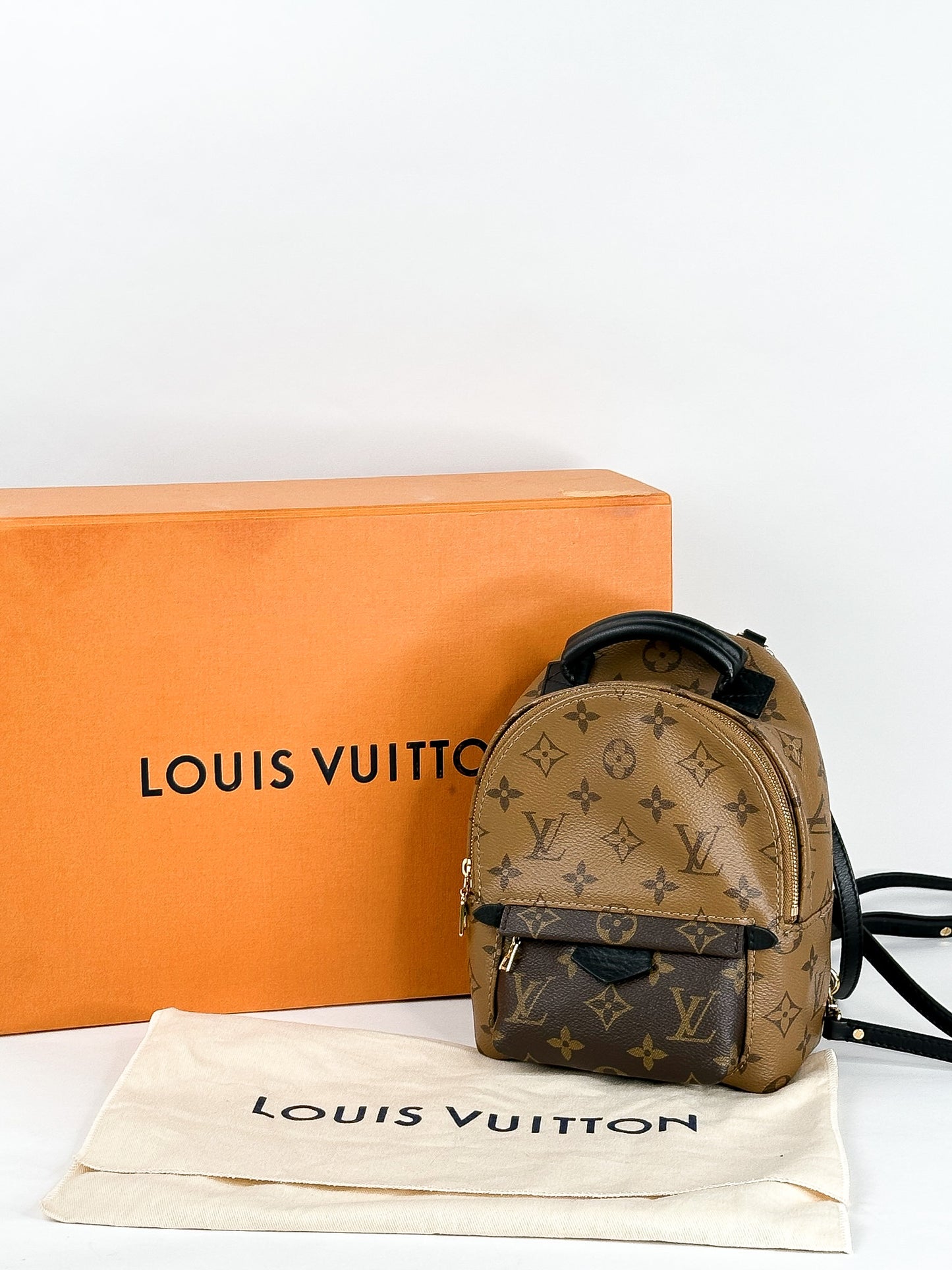 Louis Vuitton Palm Springs Mini Reverse Monogram
