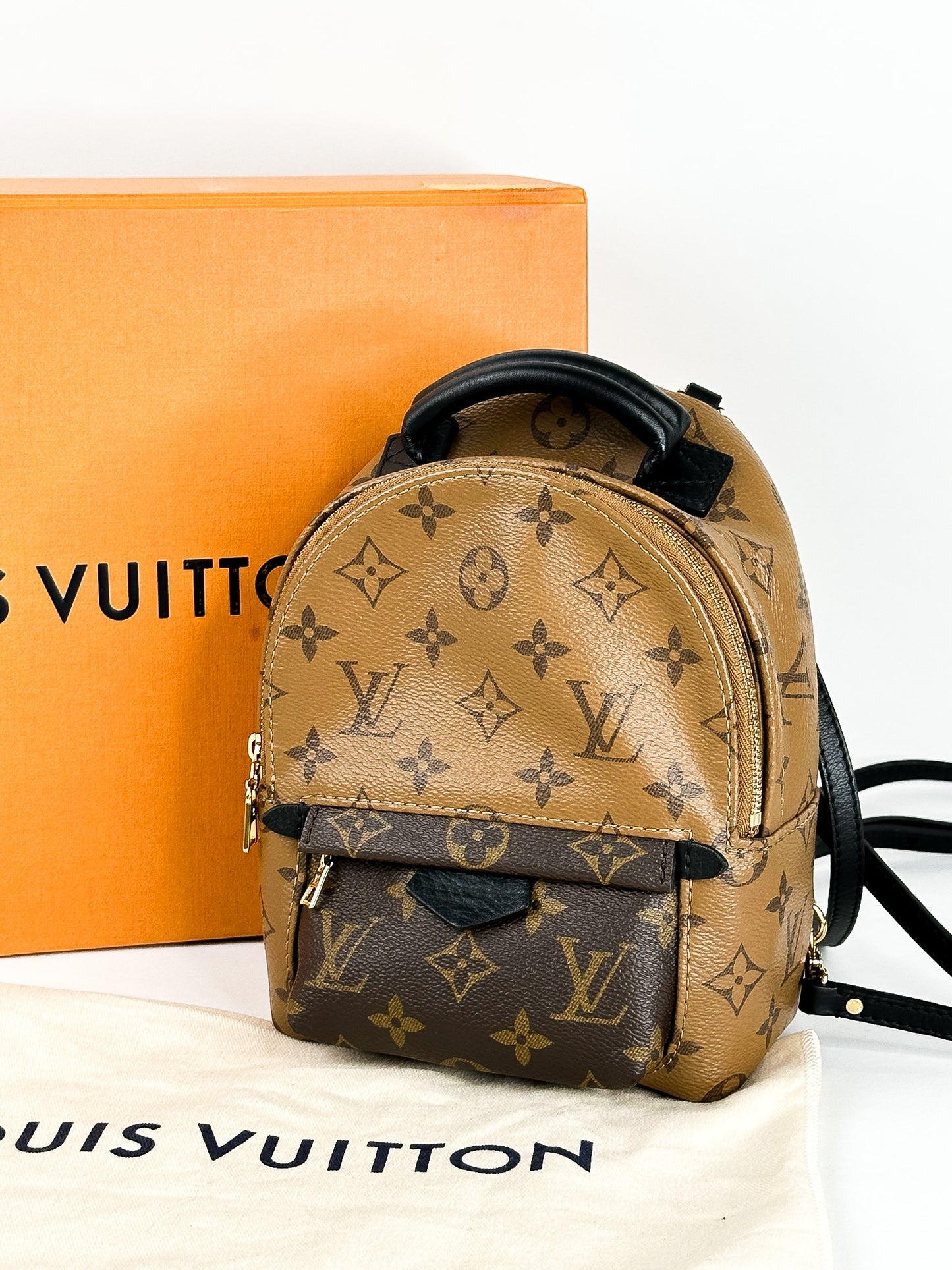 Louis Vuitton Palm Springs Mini Reverse Monogram