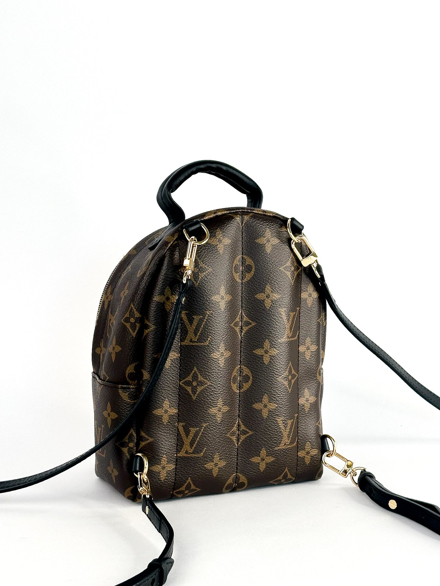 Louis Vuitton Palm Springs Mini Monogram