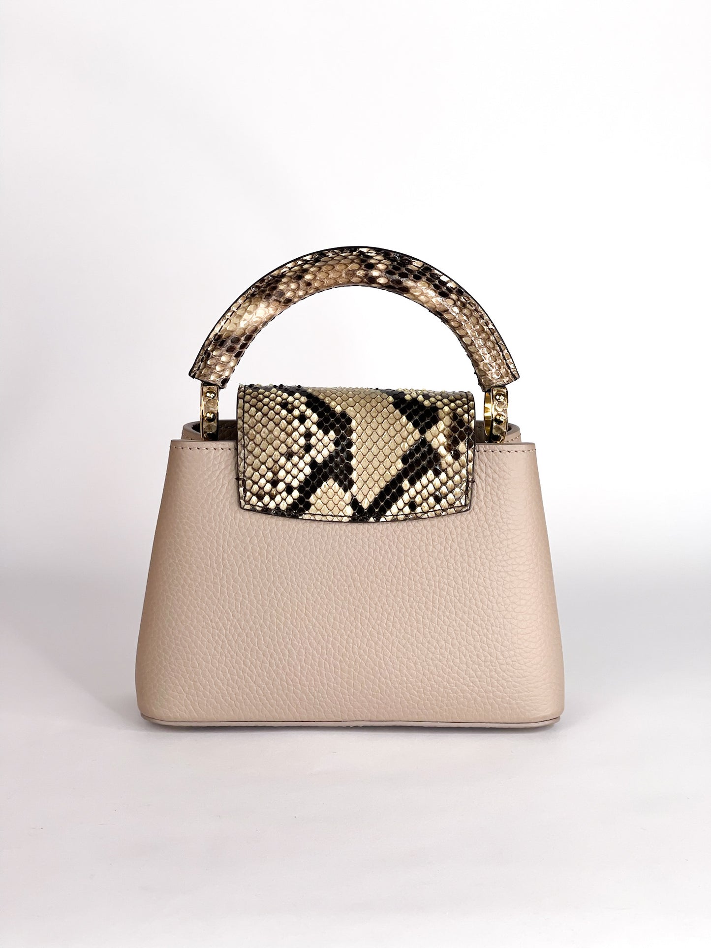 Louis Vuitton Galet Taurillon Leather and Python Capucines Mini Bag