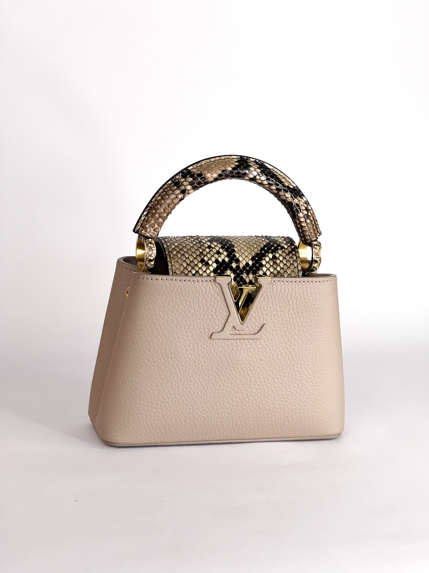 Louis Vuitton Galet Taurillon Leather and Python Capucines Mini Bag