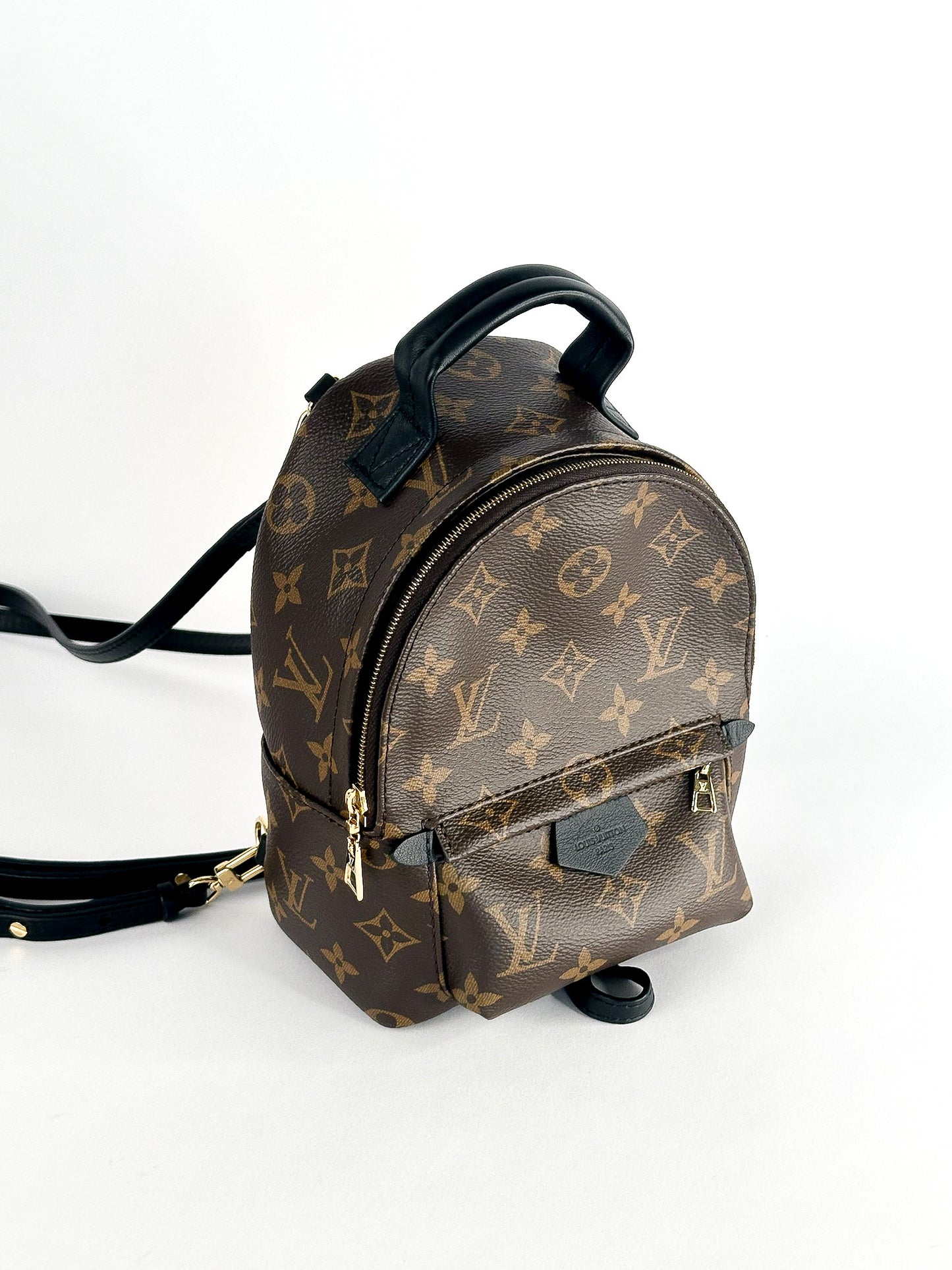 Louis Vuitton Palm Springs Mini Monogram