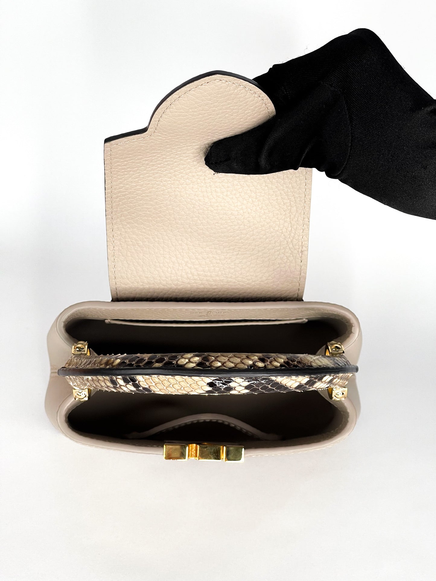 Louis Vuitton Galet Taurillon Leather and Python Capucines Mini Bag