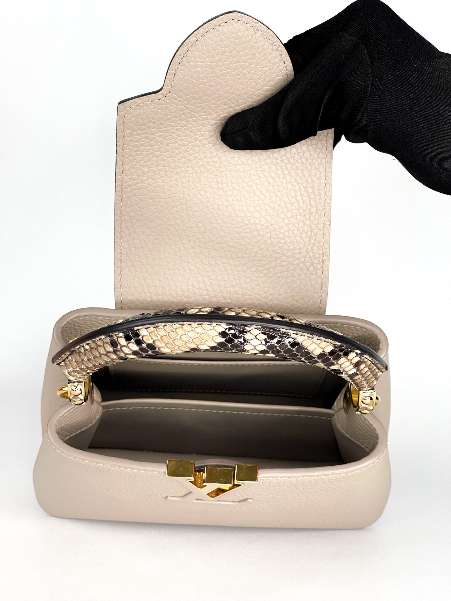 Louis Vuitton Galet Taurillon Leather and Python Capucines Mini Bag