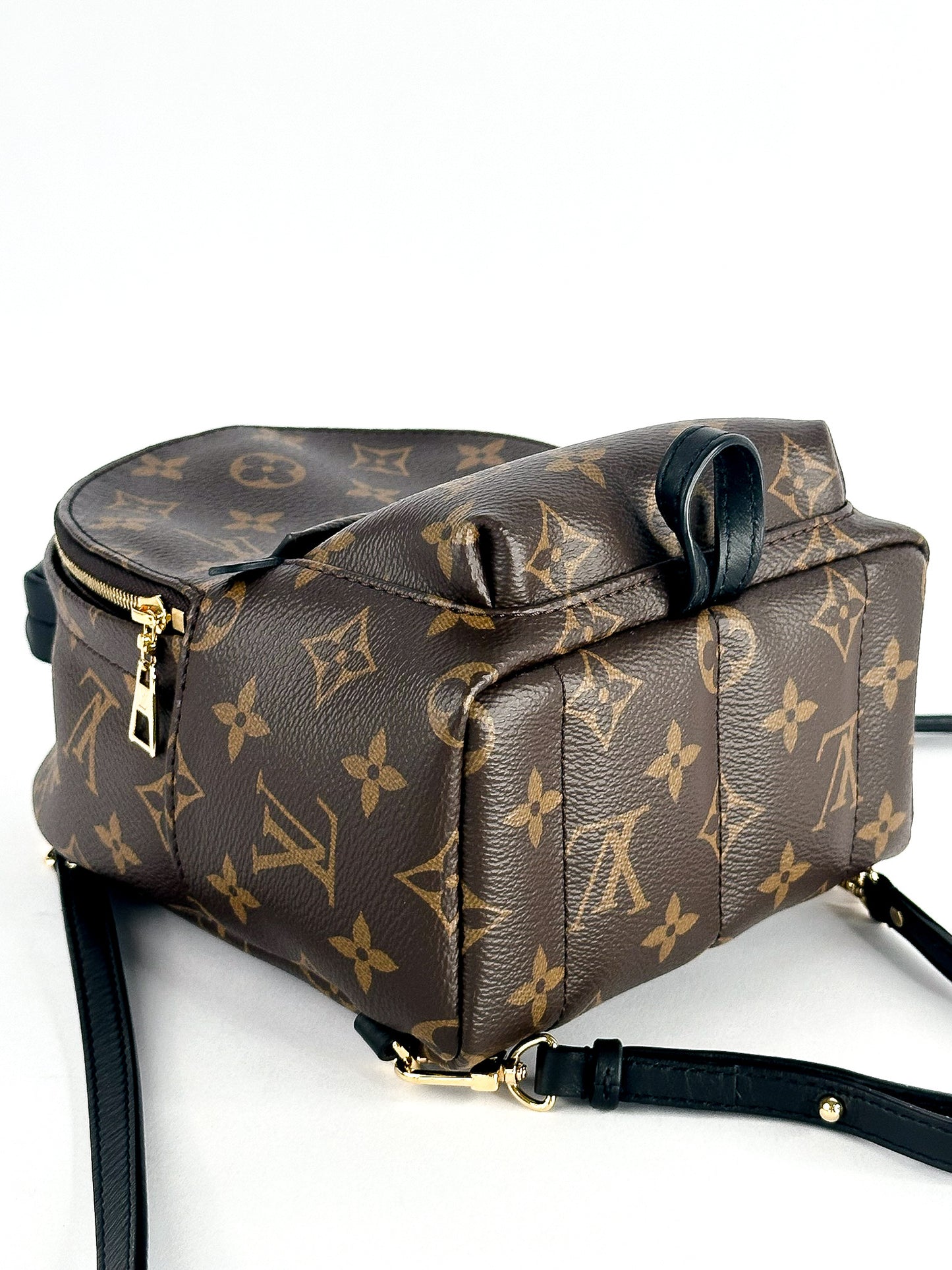 Louis Vuitton Palm Springs Mini Monogram