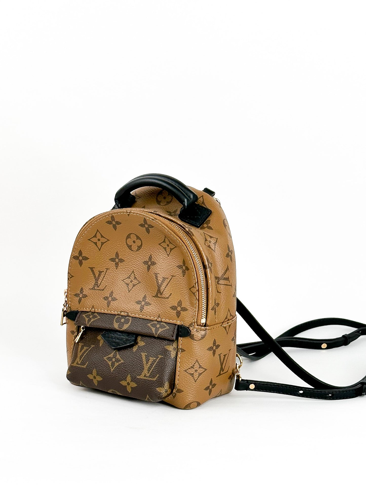 Louis Vuitton Palm Springs Mini Reverse Monogram