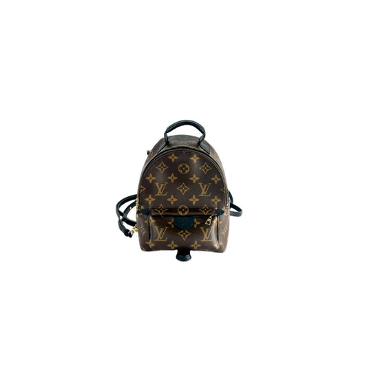 Louis Vuitton Palm Springs Mini Monogram