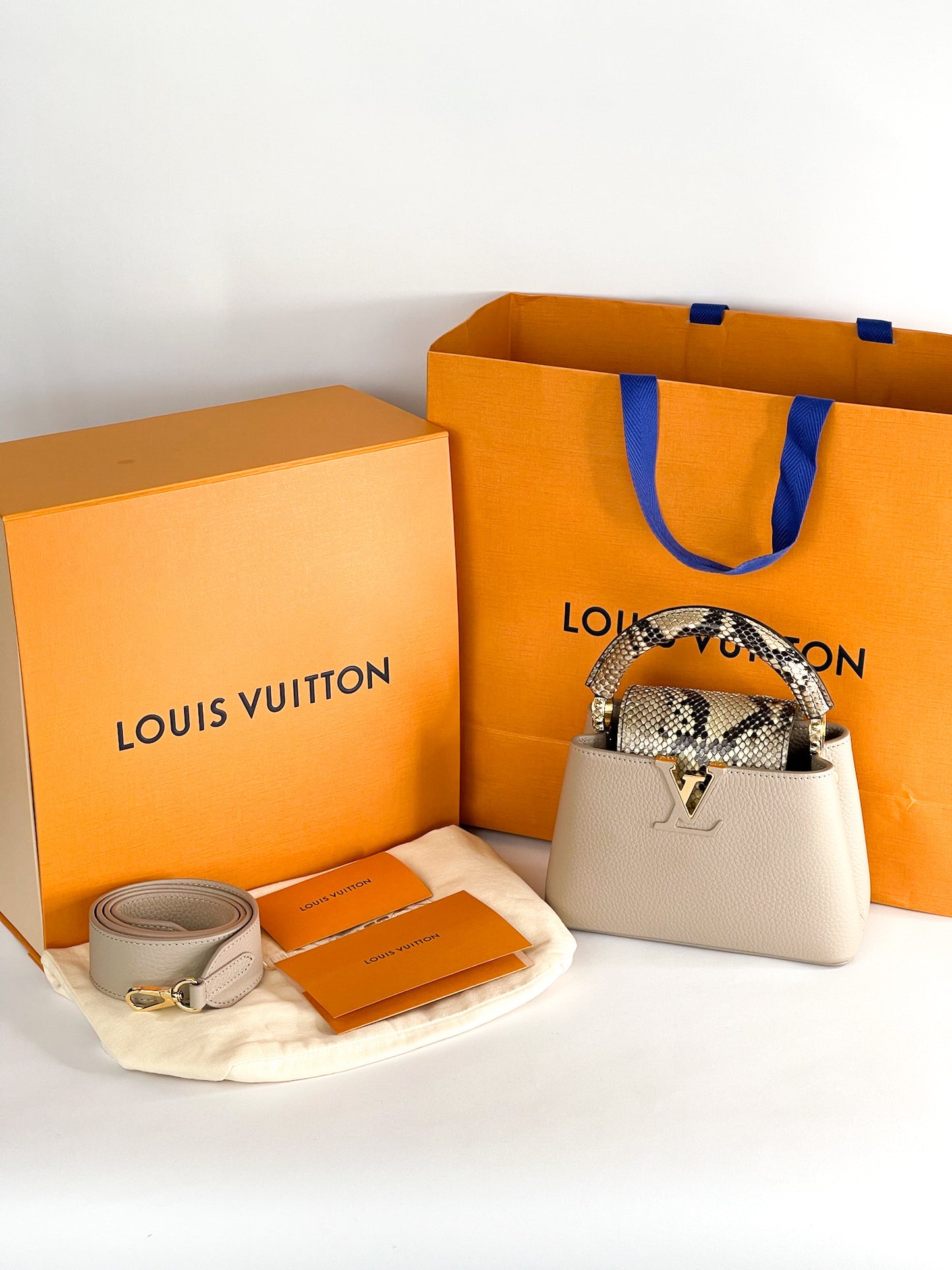 Louis Vuitton Galet Taurillon Leather and Python Capucines Mini Bag