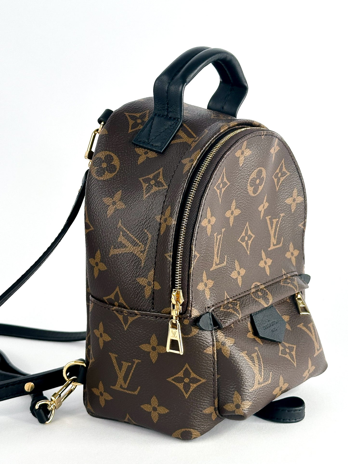 Louis Vuitton Palm Springs Mini Monogram