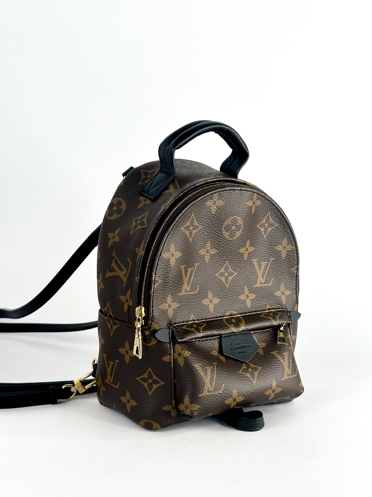 Louis Vuitton Palm Springs Mini Monogram