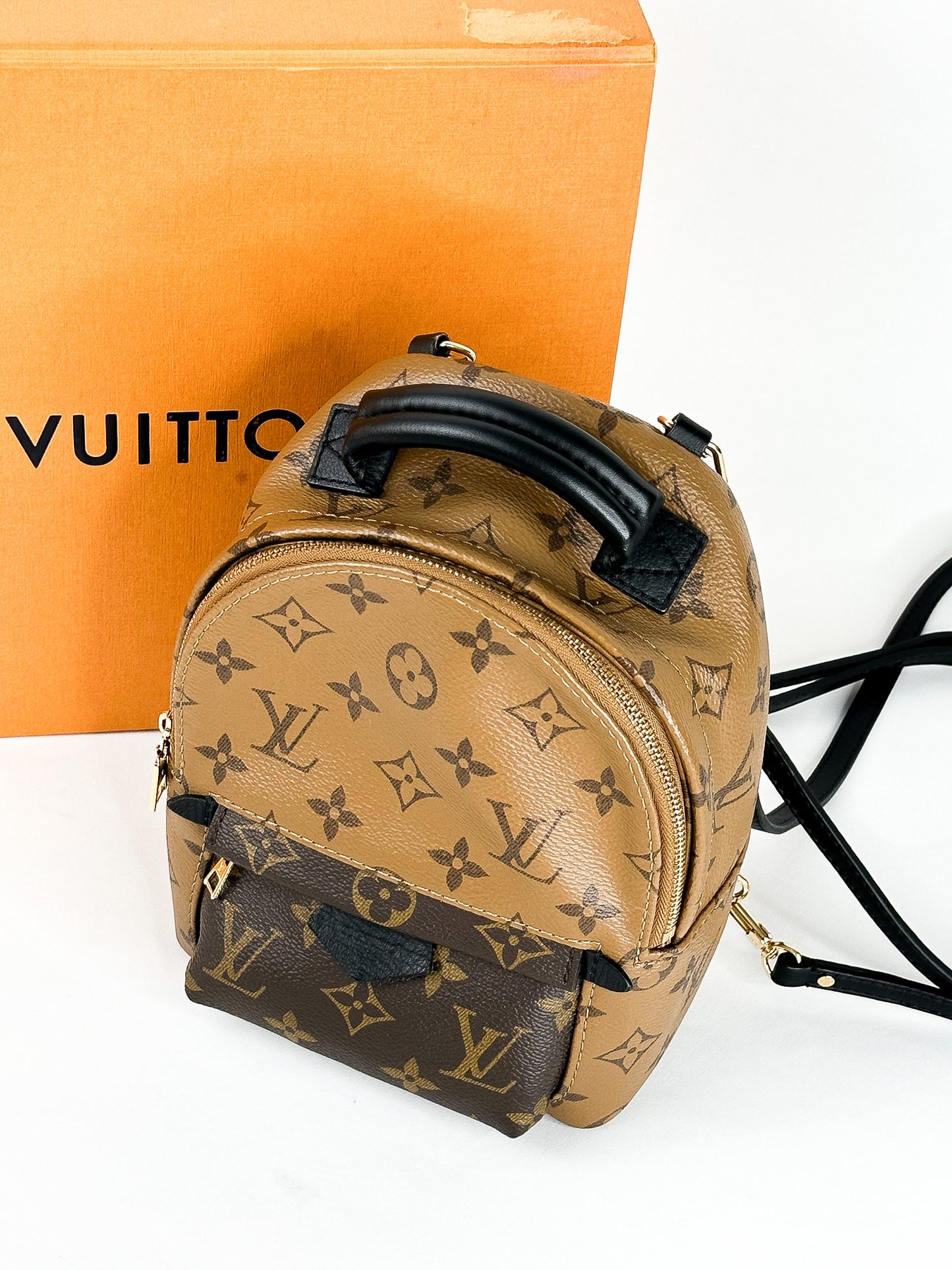 Louis Vuitton Palm Springs Mini Reverse Monogram