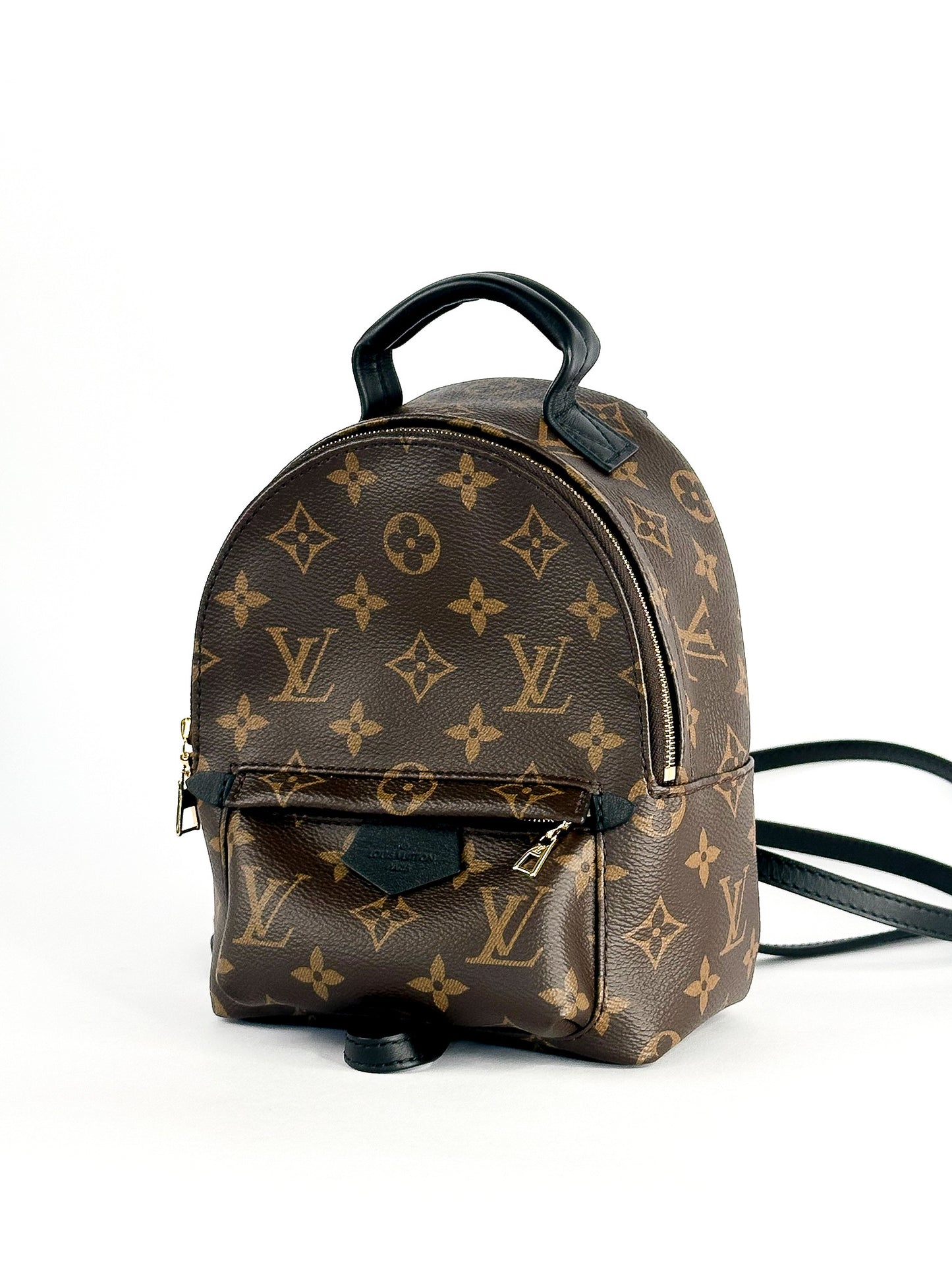 Louis Vuitton Palm Springs Mini Monogram