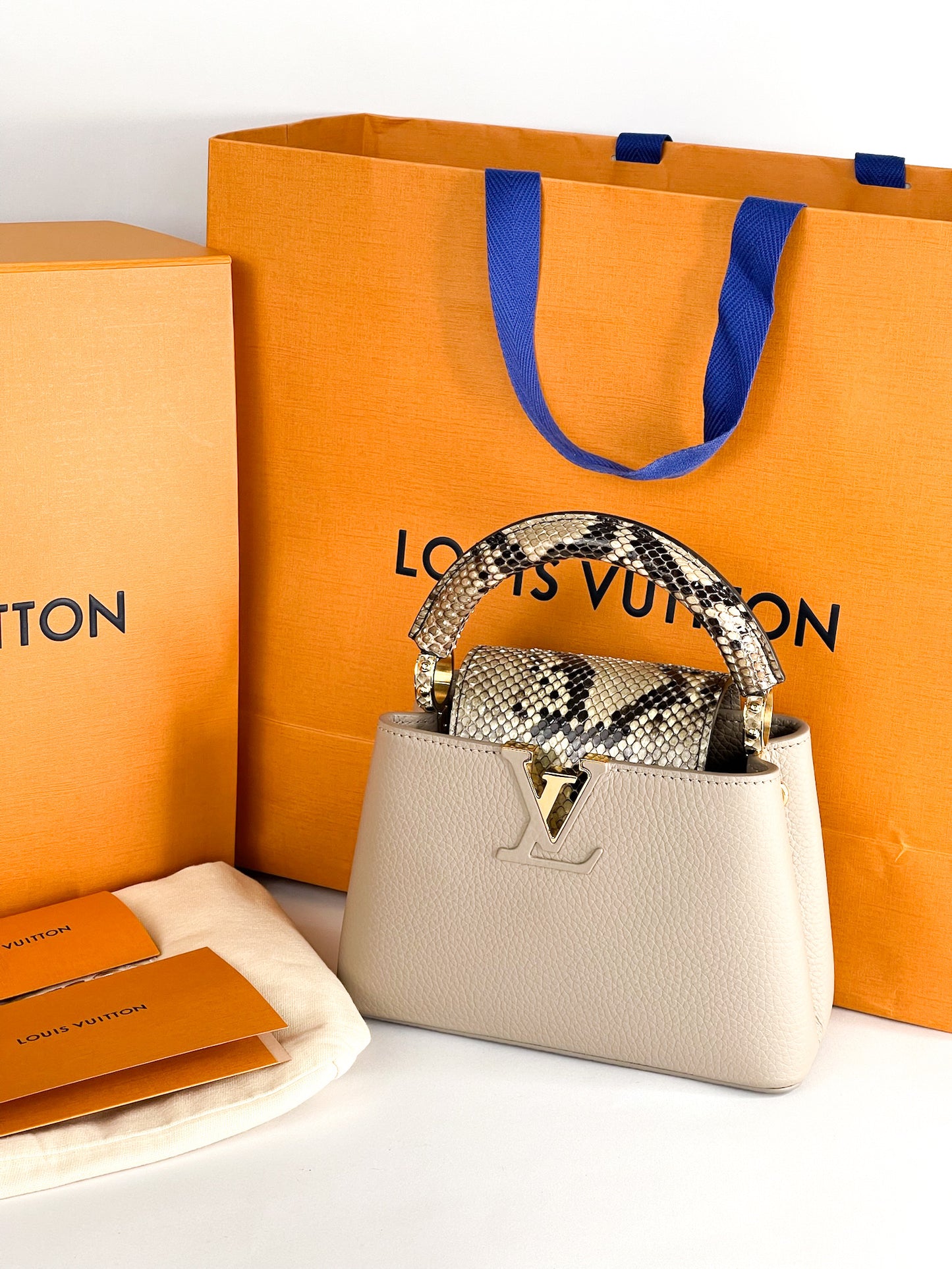 Louis Vuitton Galet Taurillon Leather and Python Capucines Mini Bag