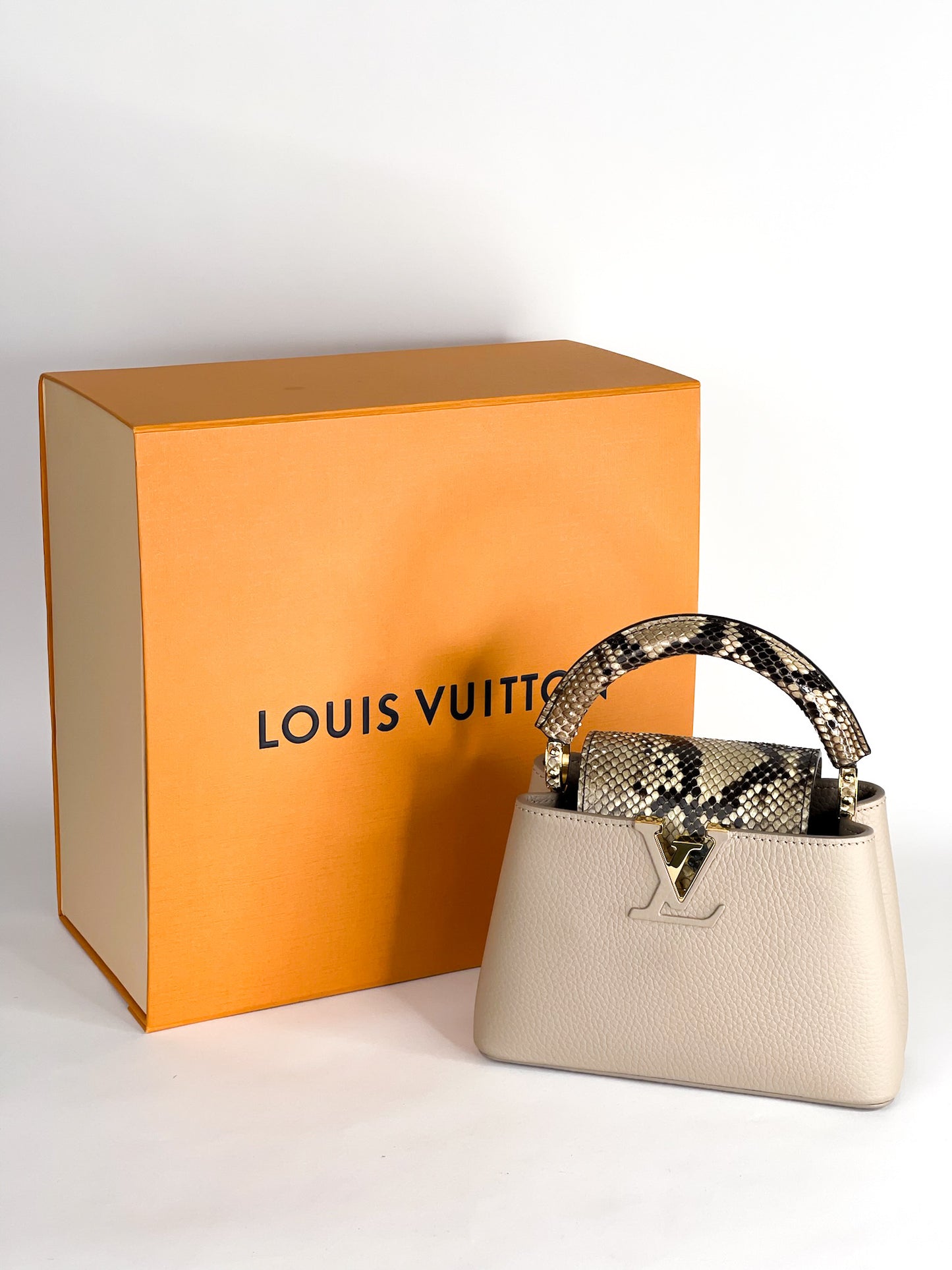 Louis Vuitton Galet Taurillon Leather and Python Capucines Mini Bag