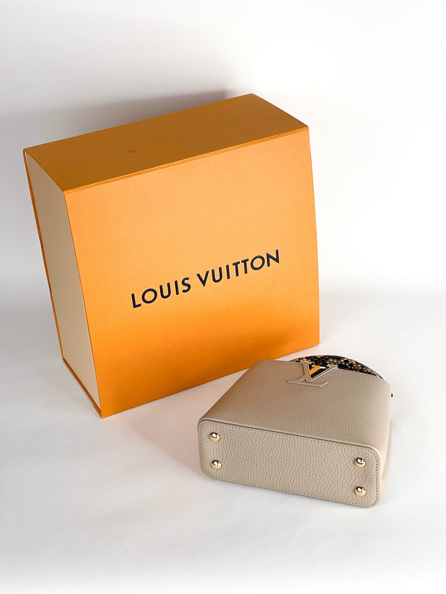 Louis Vuitton Galet Taurillon Leather and Python Capucines Mini Bag