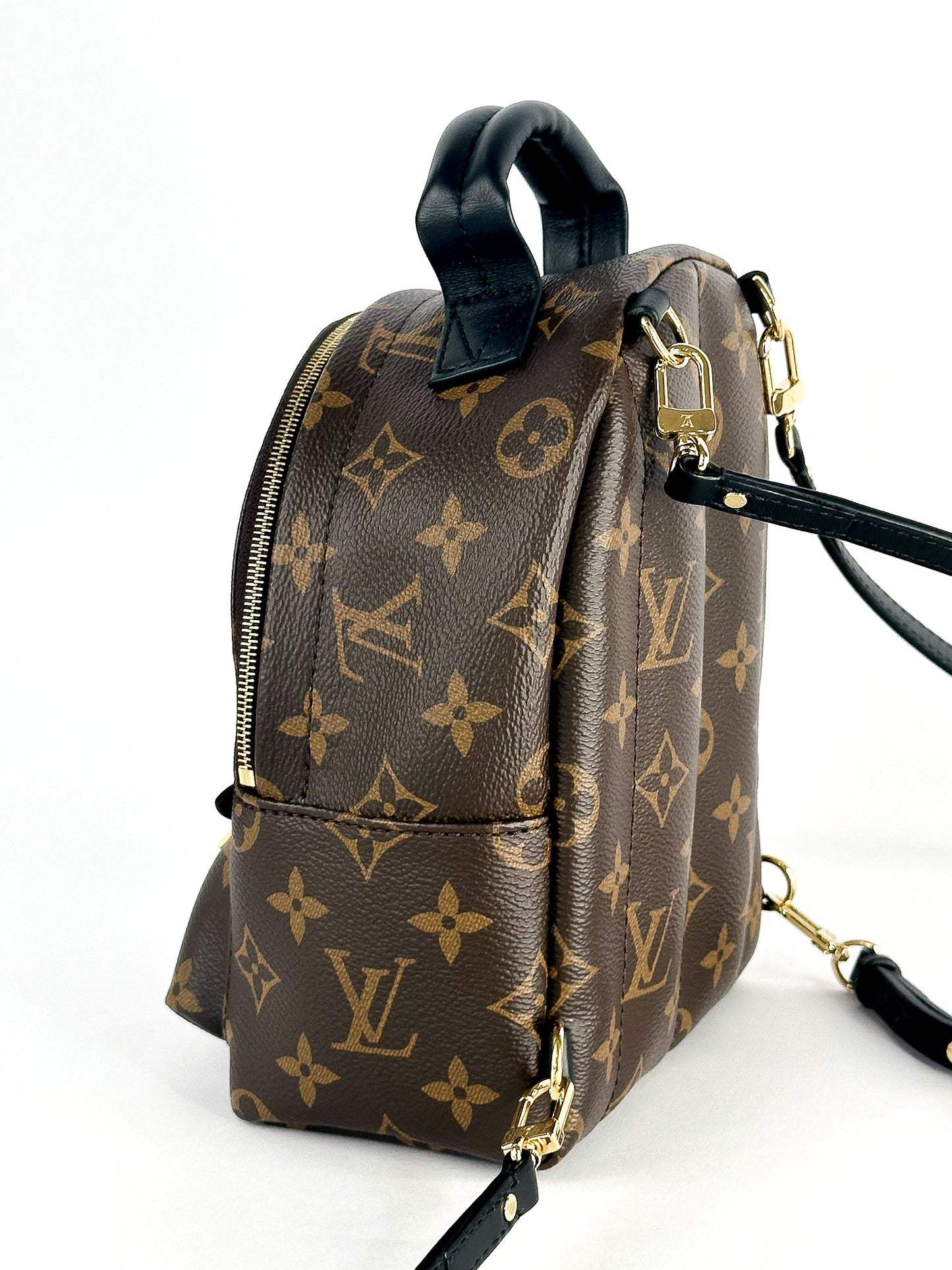 Louis Vuitton Palm Springs Mini Monogram