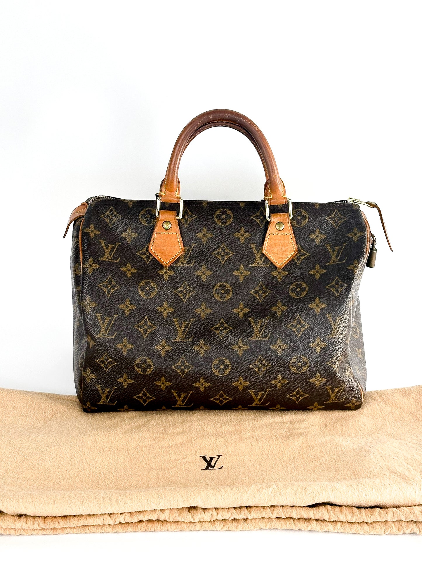 Louis Vuitton Speedy 30 Monogram Handbag