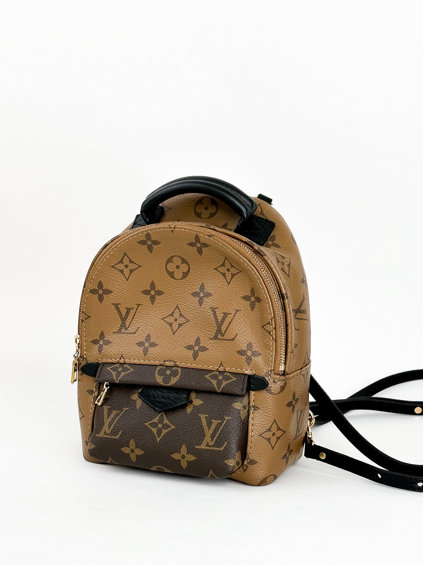 Louis Vuitton Palm Springs Mini Reverse Monogram