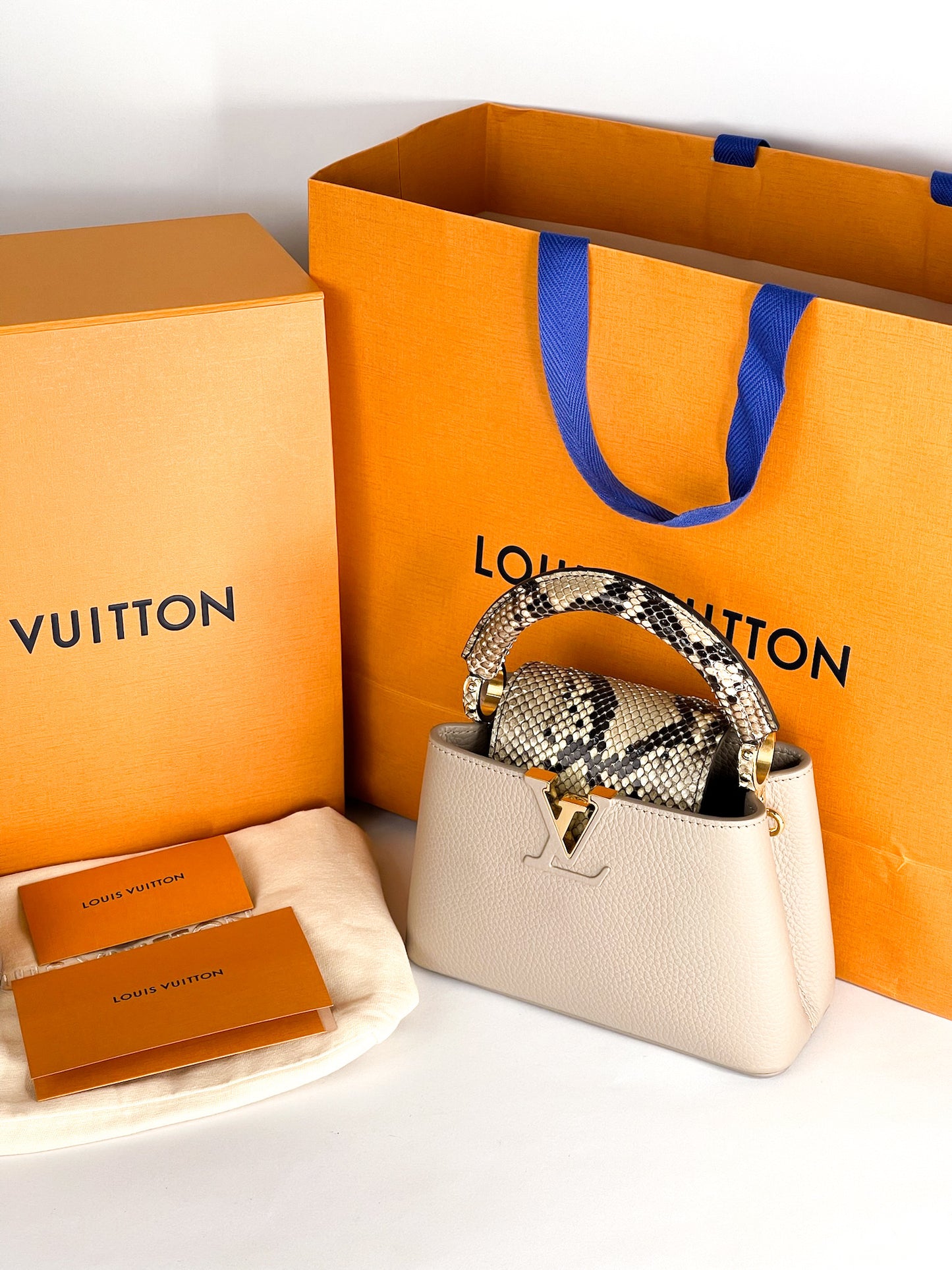 Louis Vuitton Galet Taurillon Leather and Python Capucines Mini Bag