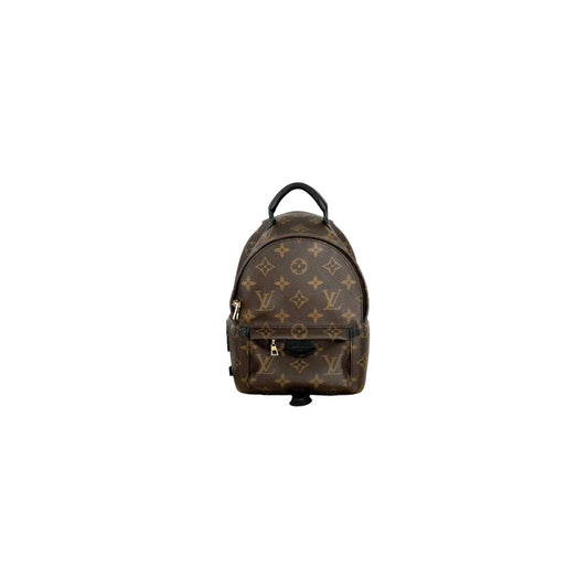 Louis Vuitton Palm Springs Mini Monogram