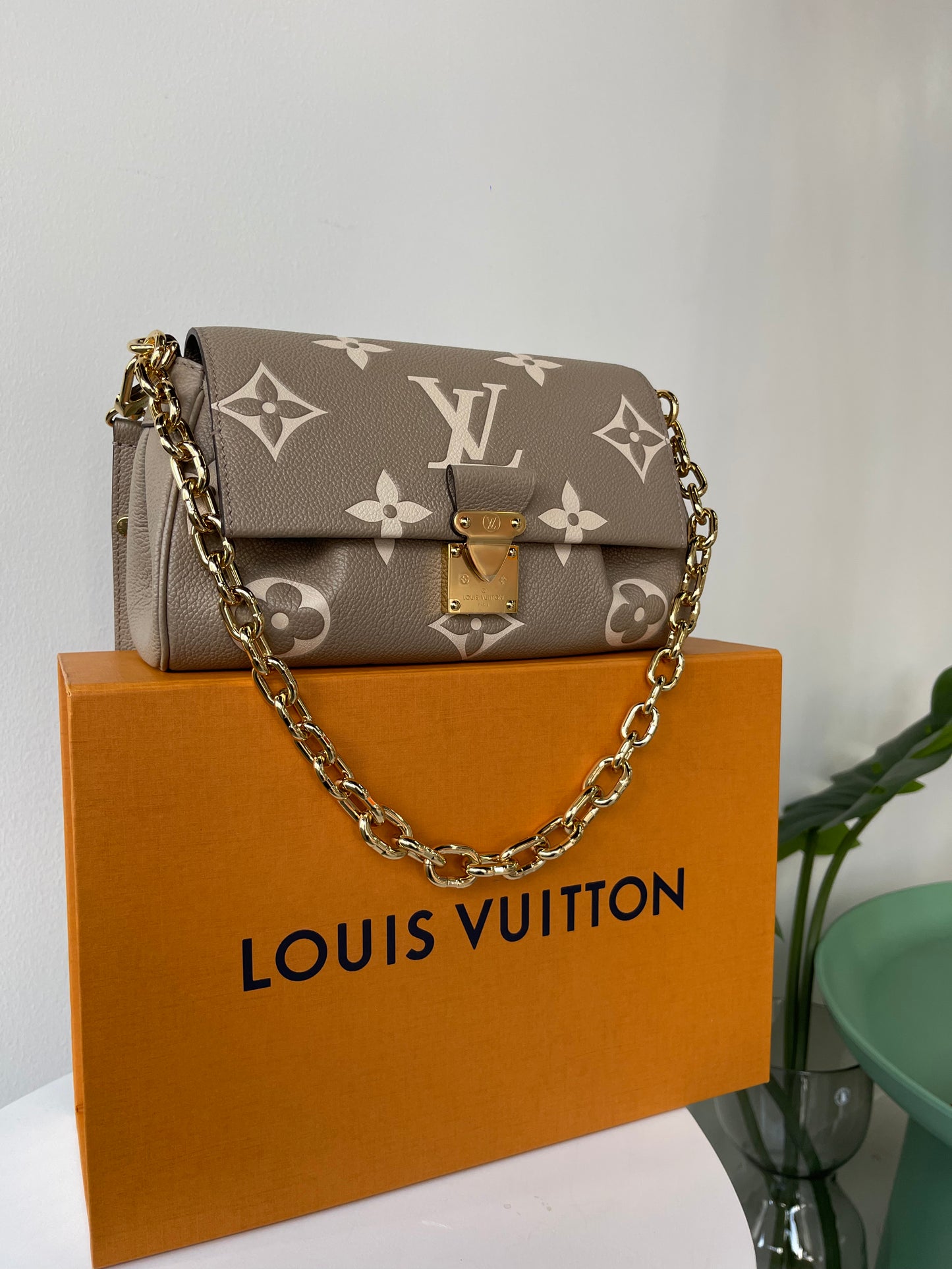 Louis Vuitton FAVORITE M45836