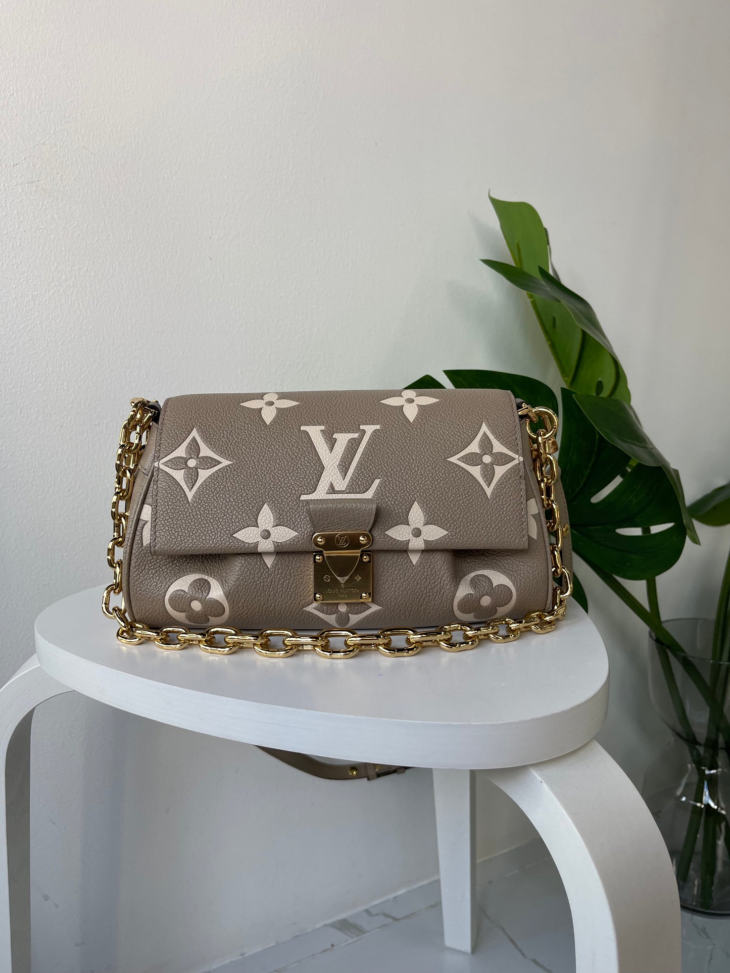 Louis Vuitton FAVORITE M45836